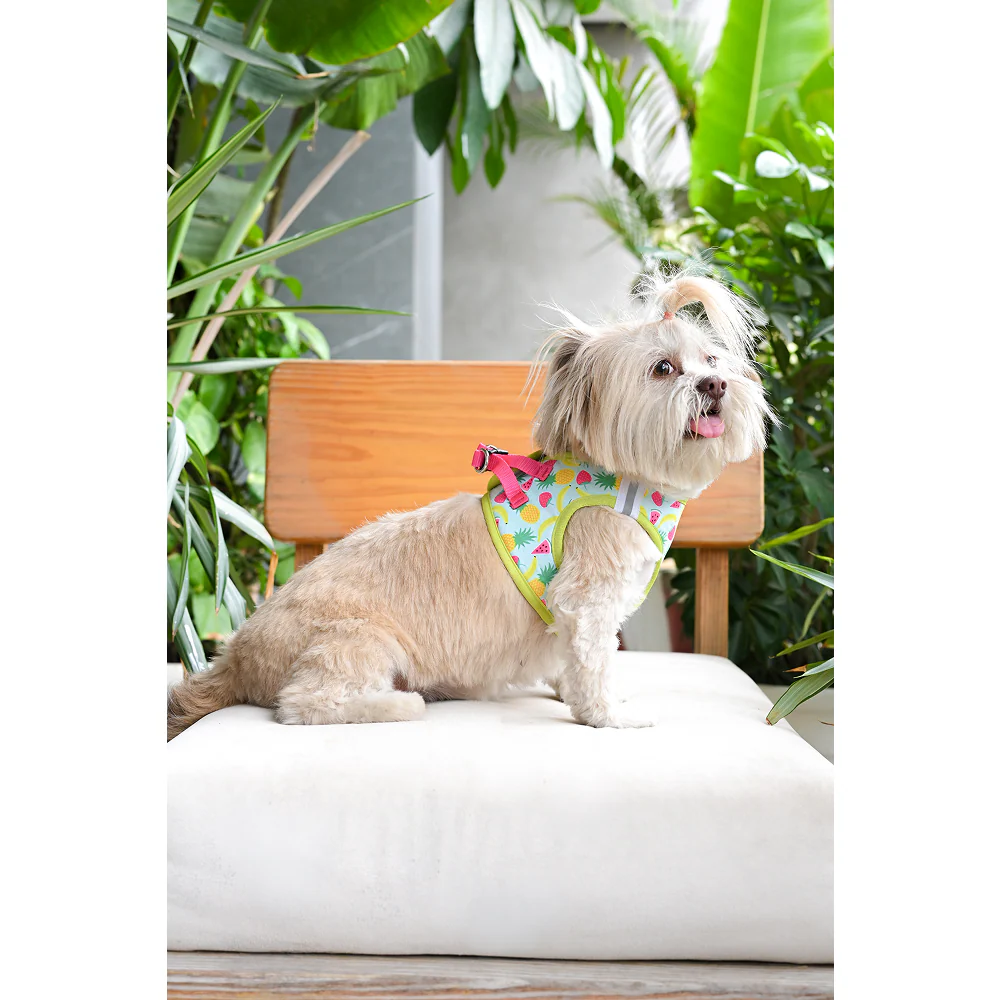 Pets Way Fruity Air Mesh Printed Harness for Puppies and Small Dogs - Image 2