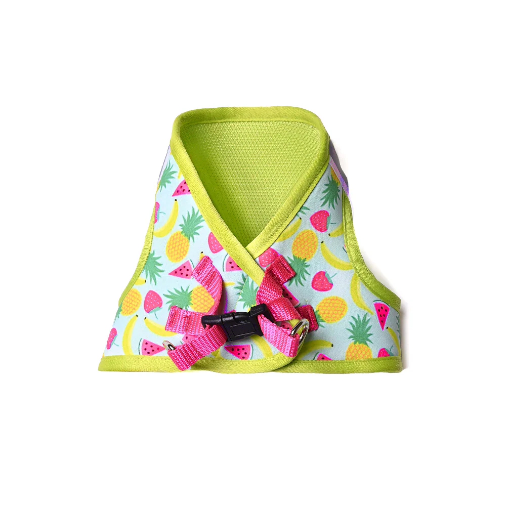 Pets Way Fruity Air Mesh Printed Harness for Puppies and Small Dogs - Image 4