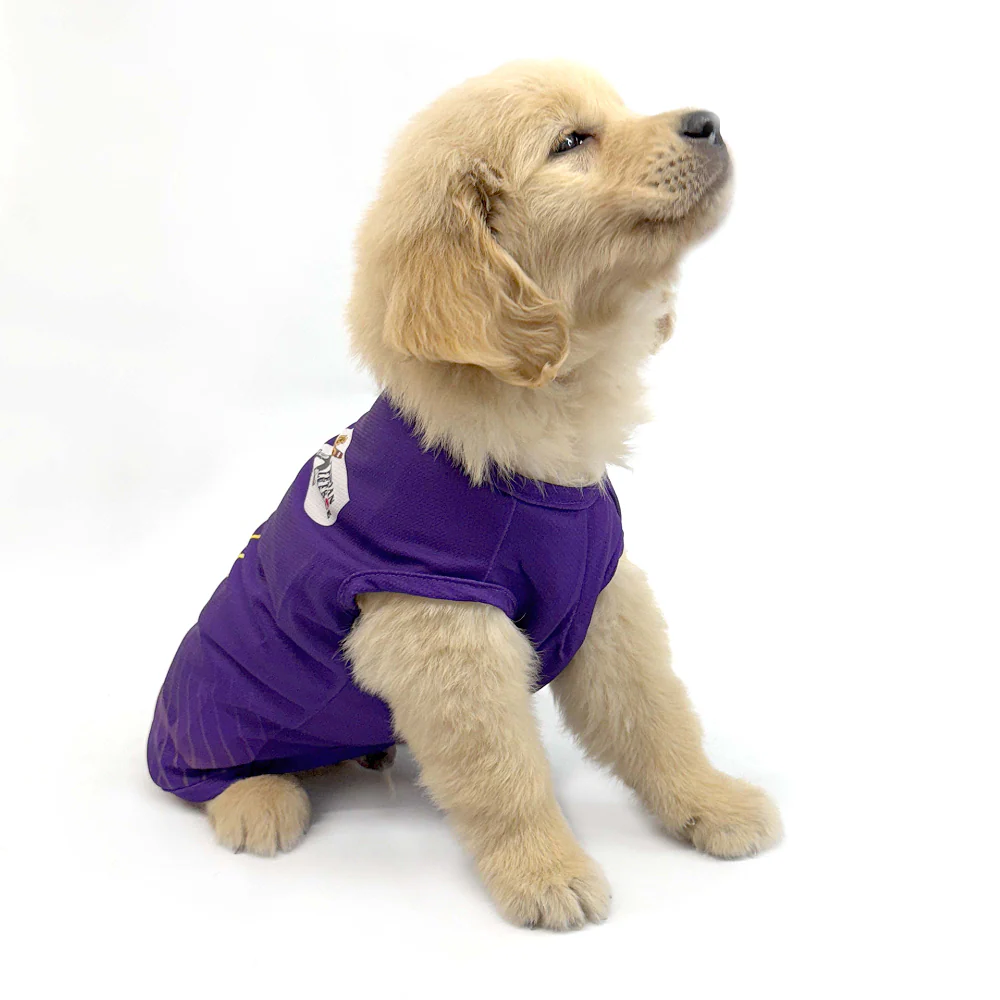 Pets Way Kolkata Kennel Riders Team Jersey Vest for Dogs | Indian Pet League - Image 5