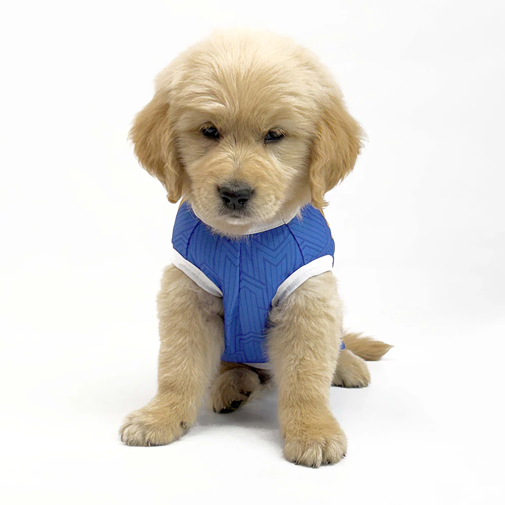 Pets Way Mumbai Indies Team Jersey Vest for Dogs | Indian Pet League - Image 4