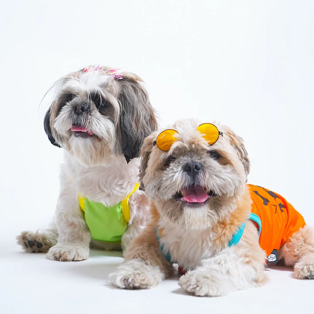 Pets Way Pawfect Vest Combo for Dogs (Pack of 3) - Image 6