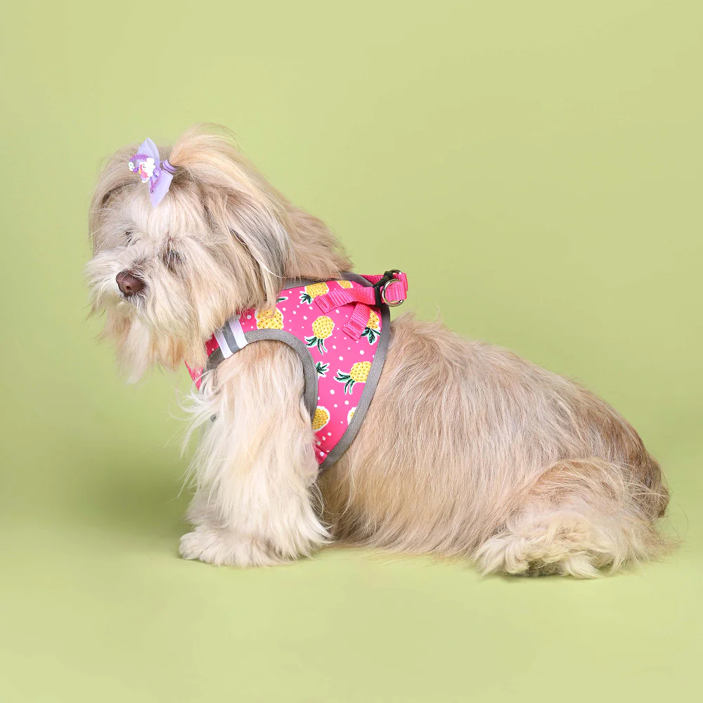 Pets Way Pine Air Mesh Printed Harness for Puppies and Small Dogs - Image 2