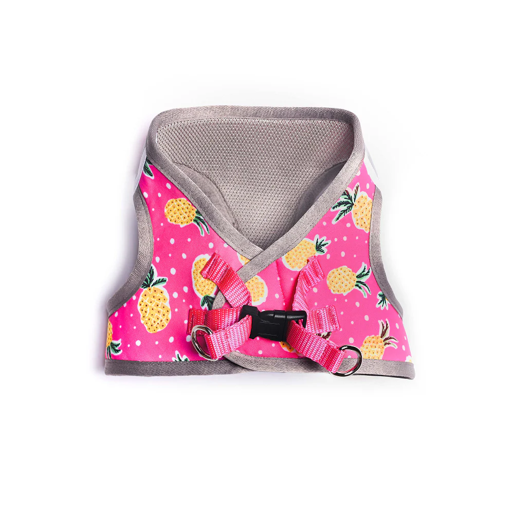 Pets Way Pine Air Mesh Printed Harness for Puppies and Small Dogs - Image 4