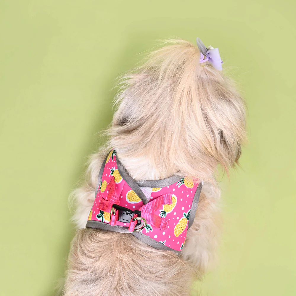 Pets Way Pine Air Mesh Printed Harness for Puppies and Small Dogs - Image 7