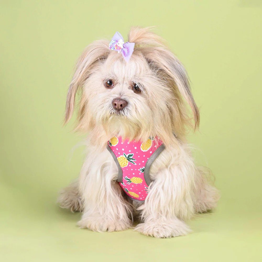 Pets Way Pine Air Mesh Printed Harness for Puppies and Small Dogs - Image 8