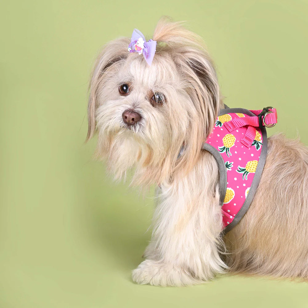 Pets Way Pine Air Mesh Printed Harness for Puppies and Small Dogs - Image 9