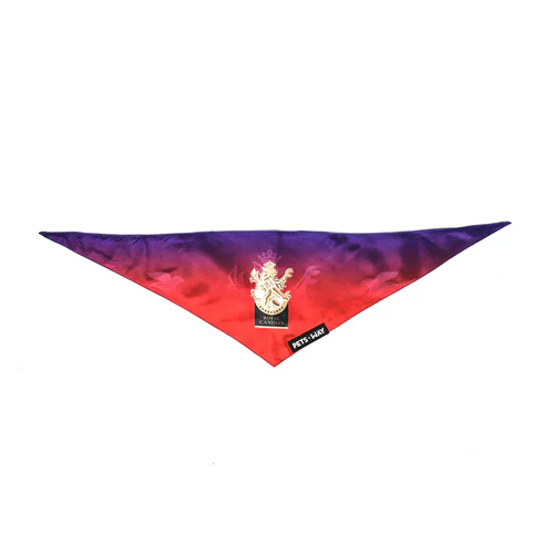 Pets Way Royal Canines Bangalore IPL Bandana for Dogs and Cats (Red) | Indian Pet League - Image 4