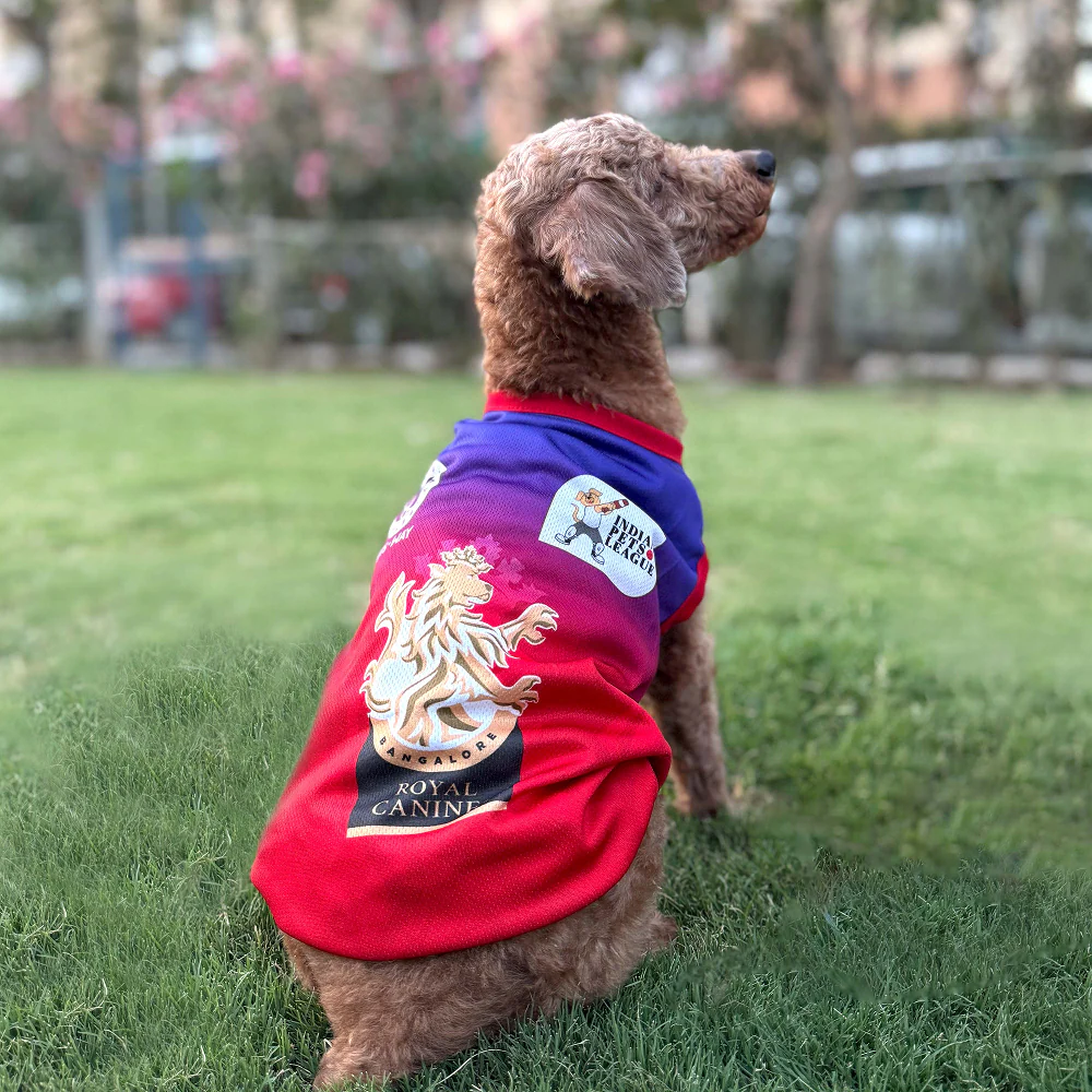 Pets Way Royal Canines Bengaluru Team Jersey Vest for Dogs | Indian Pet League - Image 2