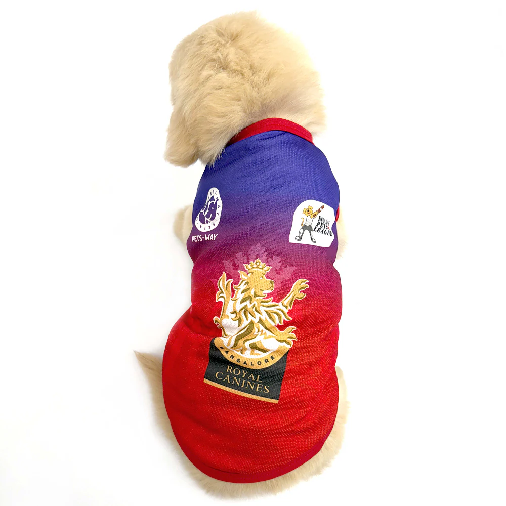 Pets Way Royal Canines Bengaluru Team Jersey Vest for Dogs | Indian Pet League - Image 6