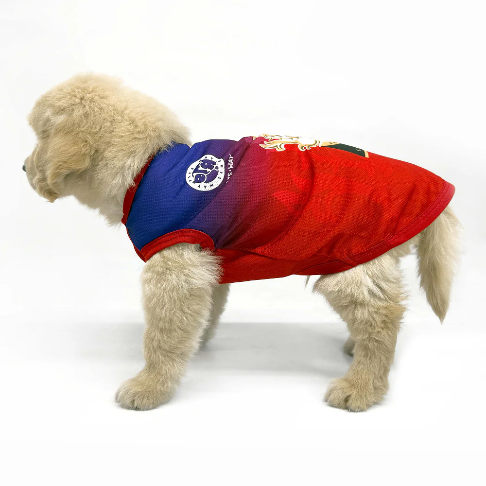 Pets Way Royal Canines Bengaluru Team Jersey Vest for Dogs | Indian Pet League - Image 8