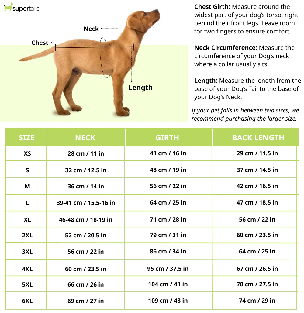 Pets Way Boston Barkball Tshirt for Dogs (Green/White) - Image 2