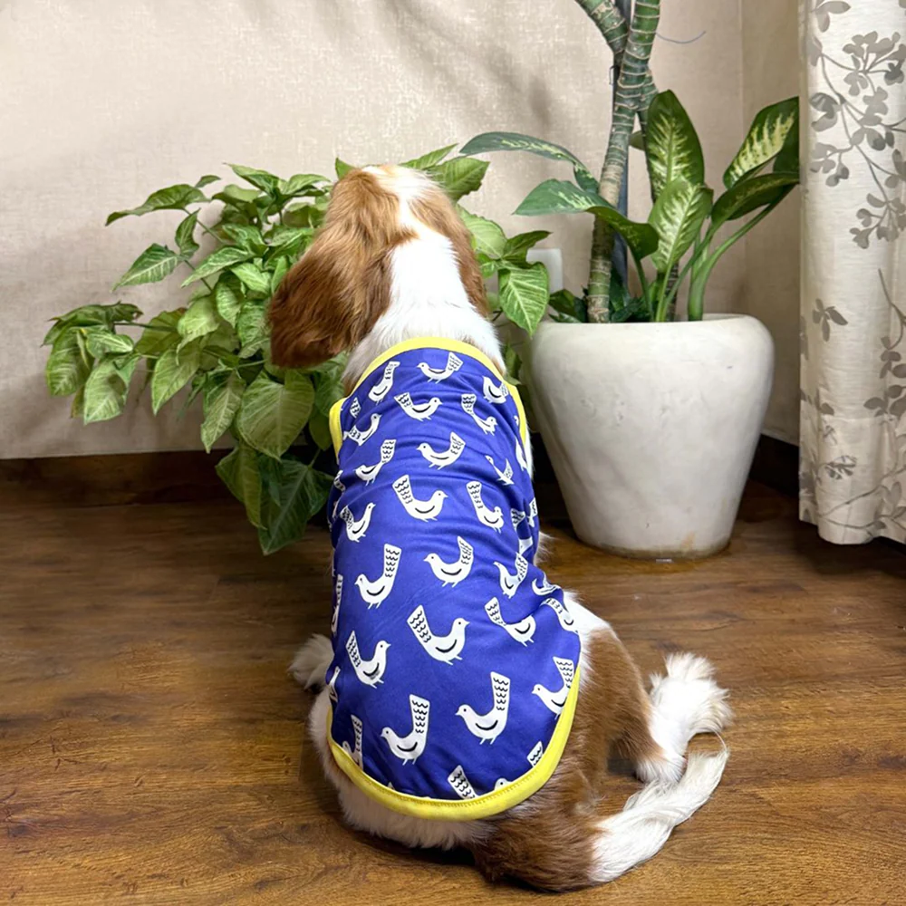 Pets Way Stay Chill Vest Combo for Dogs (Pack of 3) - Image 3