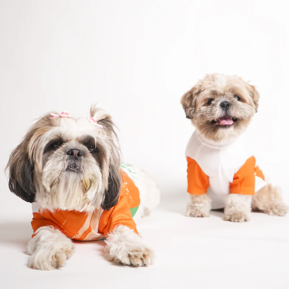 Pets Way Team India Spirit Tshirt for Dogs - Image 10