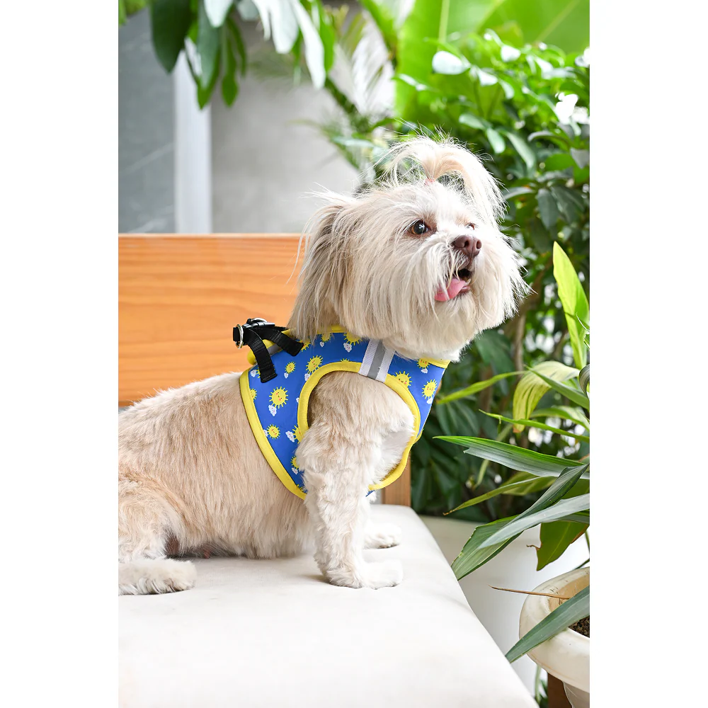 Pets Way Sunny Air Mesh Printed Harness for Puppies and Small Dogs - Image 2