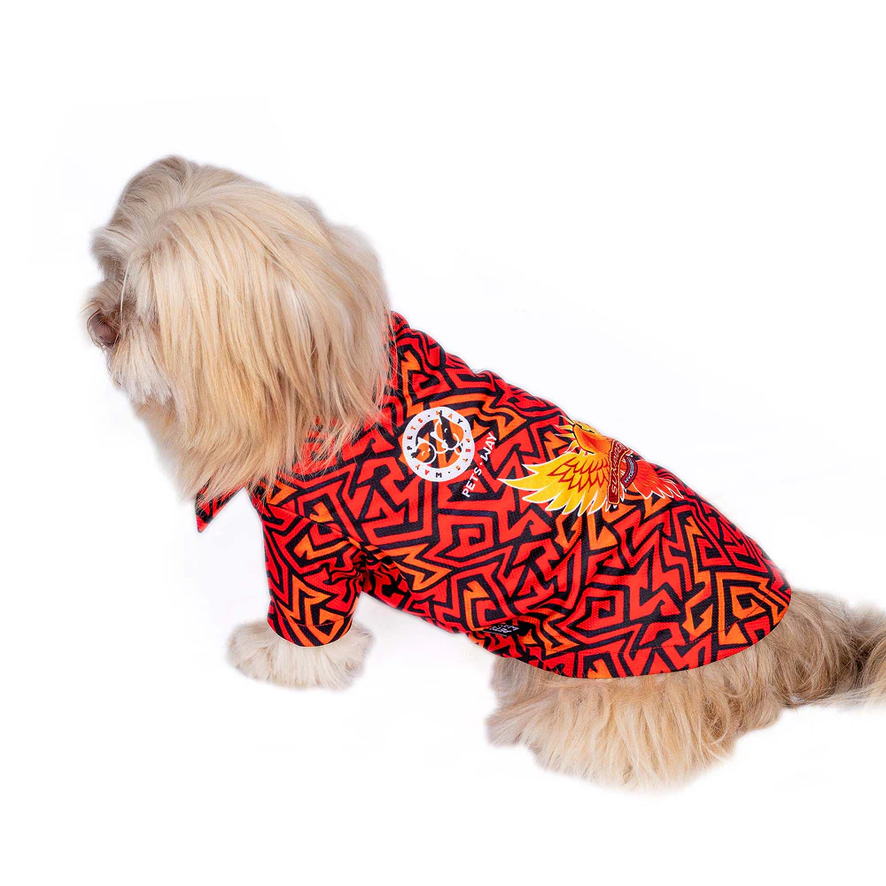 Pets Way Sunriders Hyderabad IPL Jersey for Dogs and Cats (Orange/Black)| Indian Pet League - Image 4