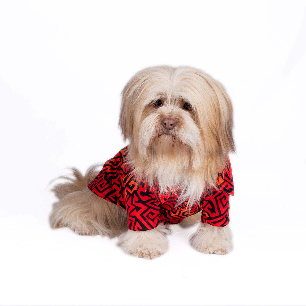Pets Way Sunriders Hyderabad IPL Jersey for Dogs and Cats (Orange/Black)| Indian Pet League - Image 5