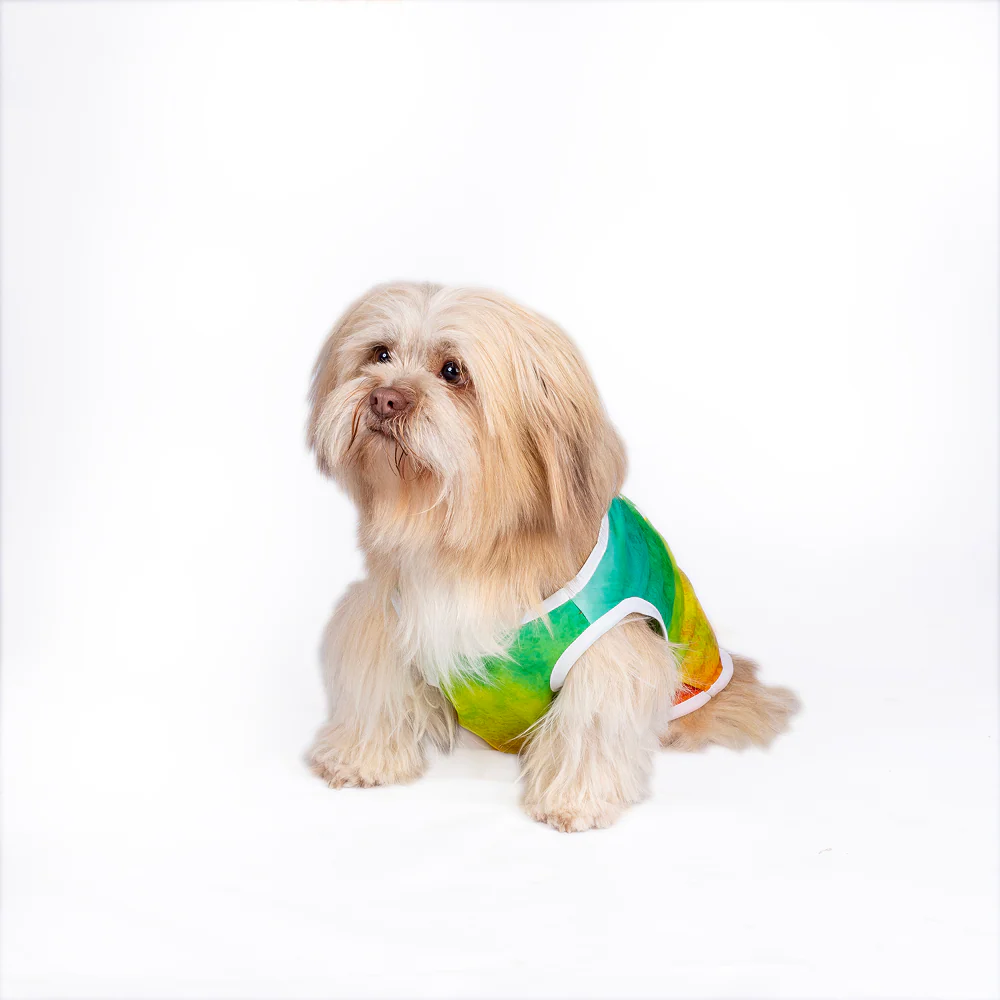 Pets Way Tie & Dye Holi T shirt for Dogs - Image 7