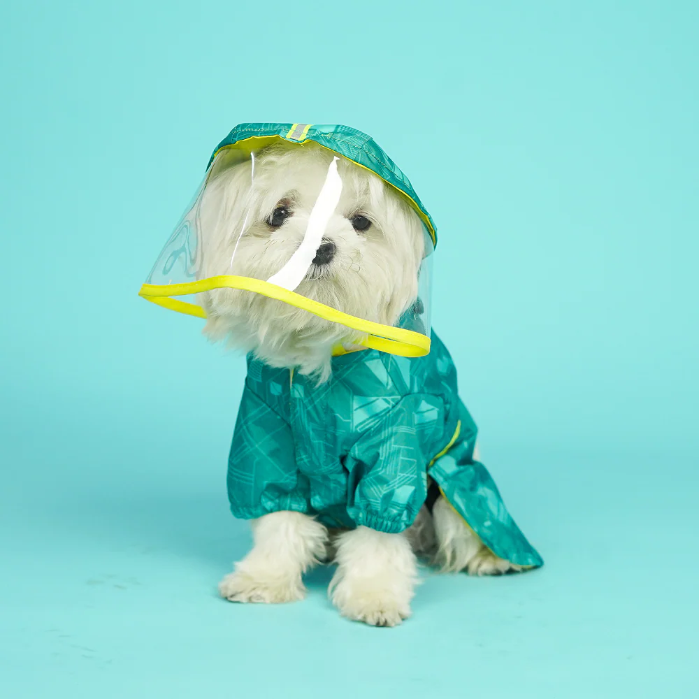 Pets Way TPU Raincoat with Cap for Dogs (Haze Teal) - Image 5