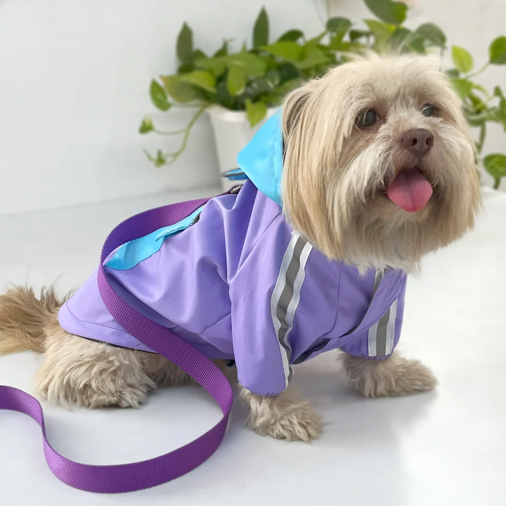 Pets Way TPU Rainstorm Raincoat for Dogs (Lavender) - Image 8