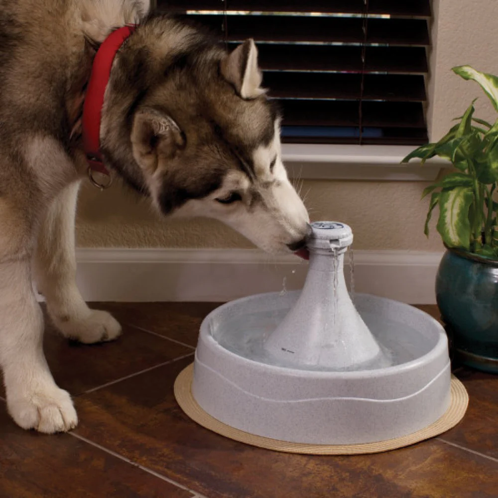Petsafe Drinkwell 360 Fountain for Dogs and Cats (White) - Image 2