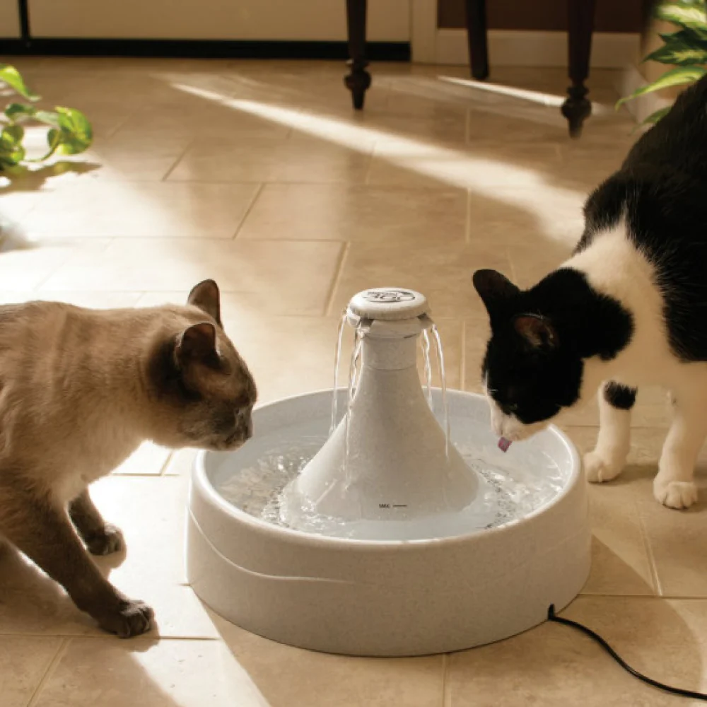 Petsafe Drinkwell 360 Fountain for Dogs and Cats (White) - Image 3