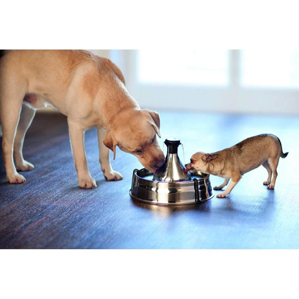 Petsafe Drinkwell 360° Stainless Steel Filter for Dogs and Cats - Image 3