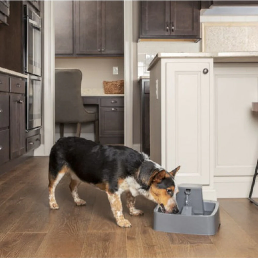 Petsafe Drinkwell Automatic Flowing Water Fountain for Dogs and Cats (Dark Grey) - Image 2