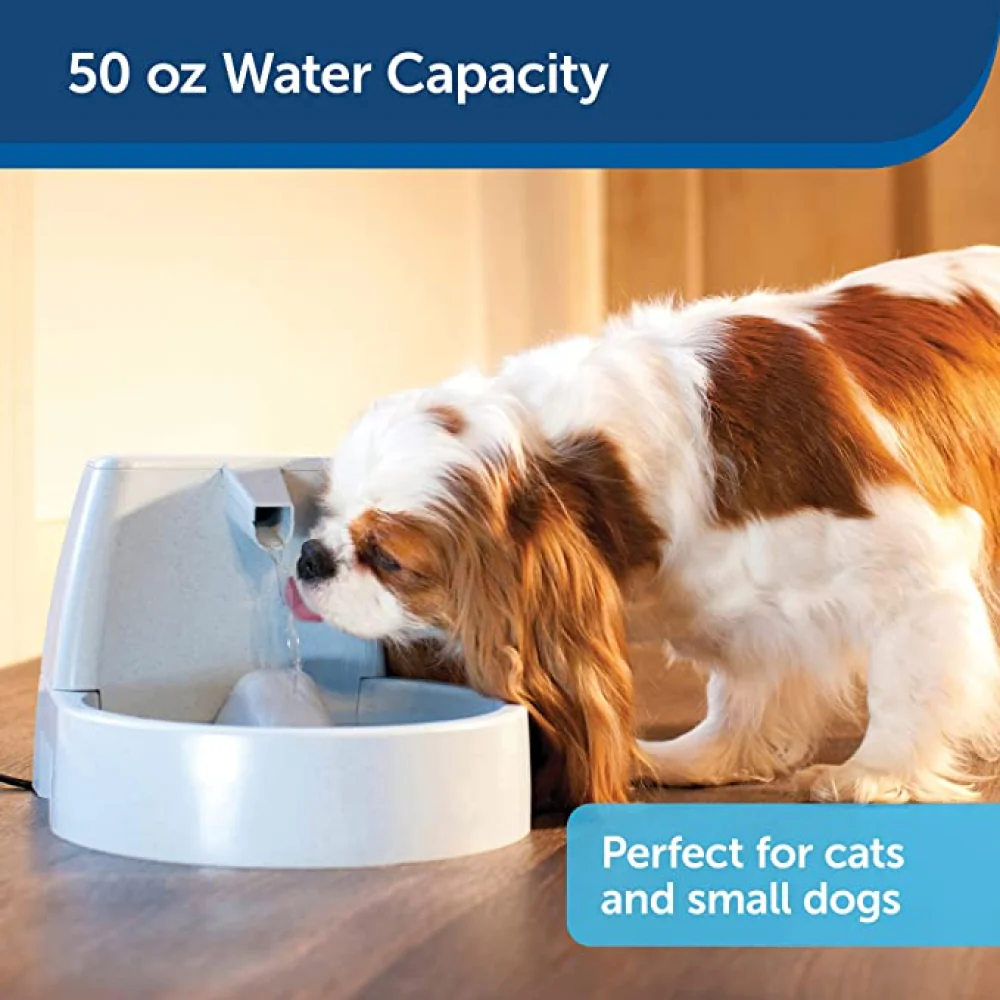 Petsafe Original Drinkwell Mini Fountain for Dogs and Cats - Image 5