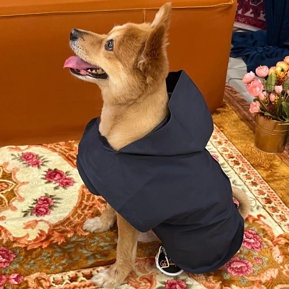Petsnugs 100% Waterproof Raincoat for Dogs and Cats (Navy Blue) - Image 3