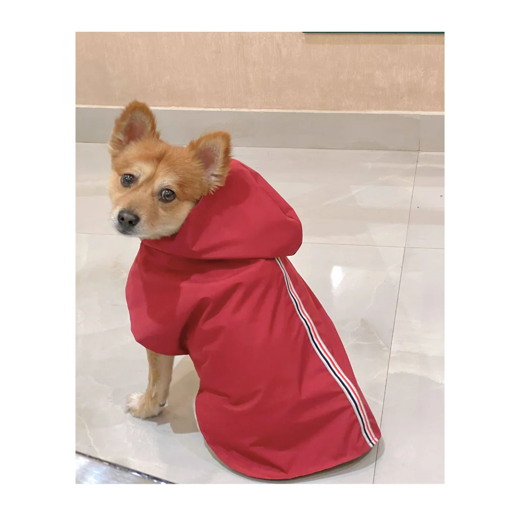Petsnugs 100% Waterproof Raincoat for Dogs and Cats (Red) - Image 4