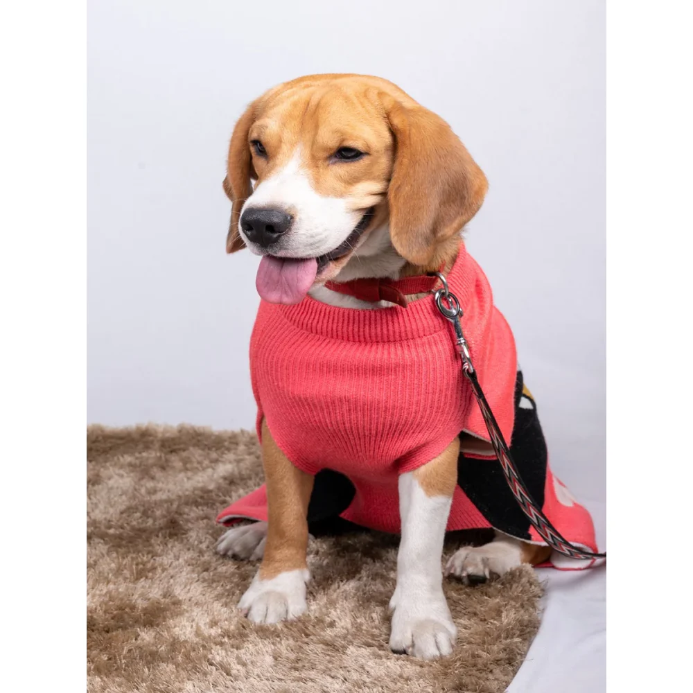 Petsnugs Bones and Paws Sweater for Dogs and Cats (Pink) - Image 4