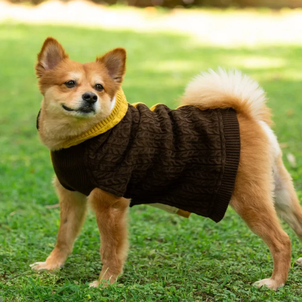 Petsnugs Cable Knit Sweater for Dogs and Cats (Brown/Mustard) - Image 4