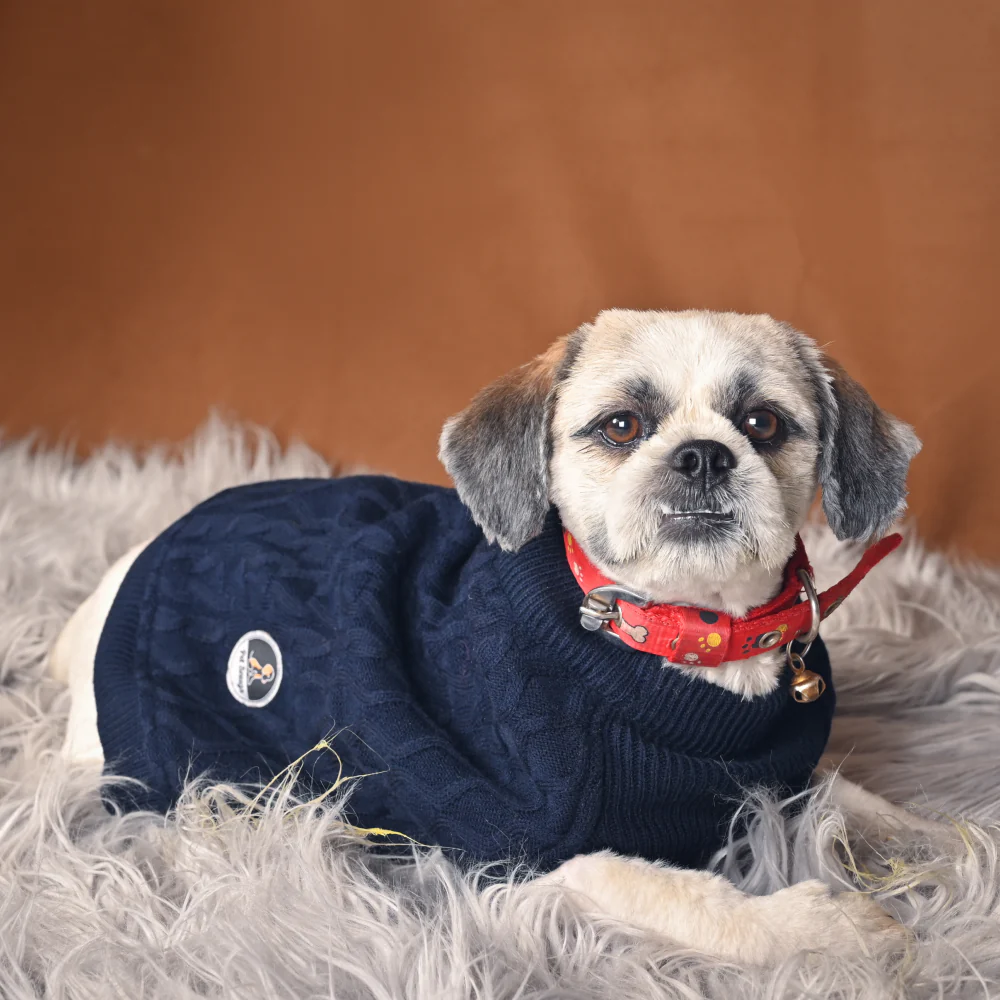 Petsnugs Cable Knit Sweater for Dogs and Cats (Navy Blue) - Image 3