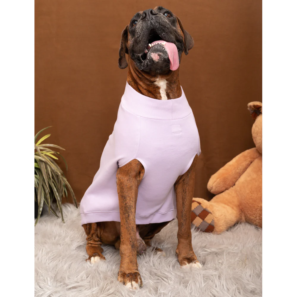 Petsnugs Cute Devil Sweatshirt for Dogs and Cats (Lavender) - Image 5