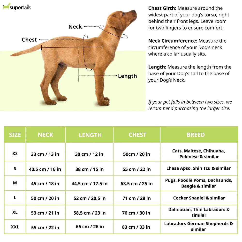 Petsnugs Dino Snug Hoodie for Dogs and Cats (Black) - Image 2
