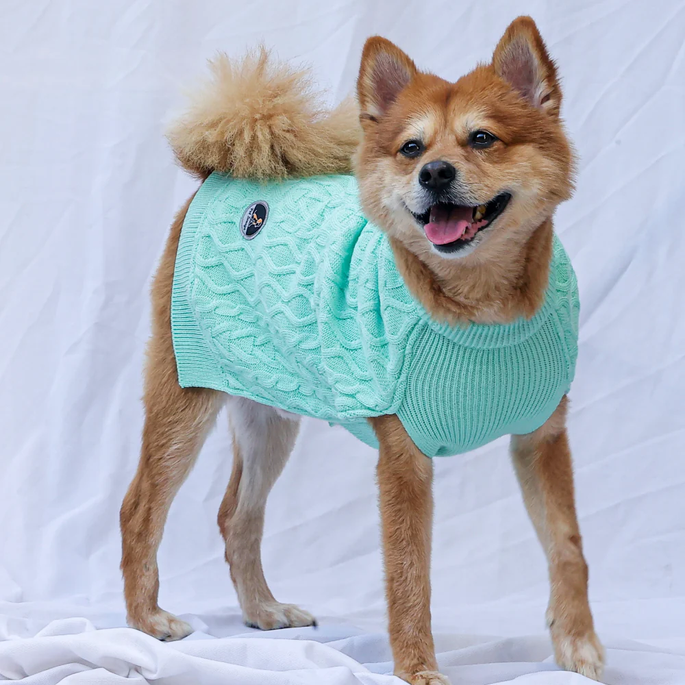 Petsnugs English Cable Knit Sweater for Dogs and Cats - Image 7