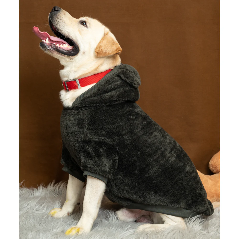 Petsnugs Fluffy Sweatshirt for Dogs and Cats (Olive Green) - Image 5