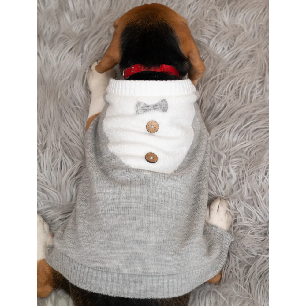 Petsnugs Gentle Knit Sweater for Dogs and Cats (Grey & White) - Image 3