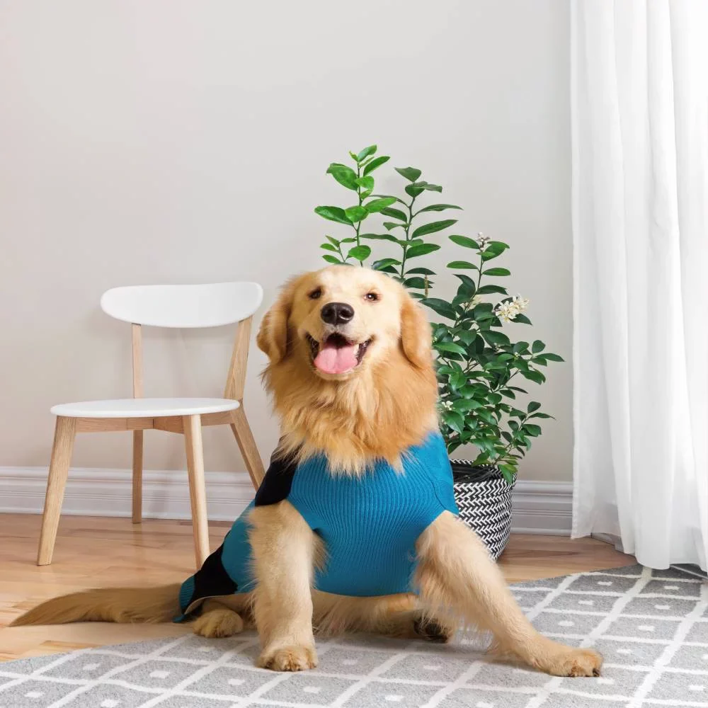 Petsnugs Half Cable Half Fully Fashion Sweater for Dogs and Cats (Blue/Black) - Image 2