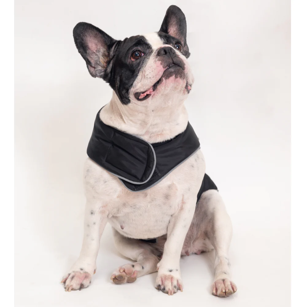 Petsnugs Jacket for Dogs and Cats (Black) - Image 3