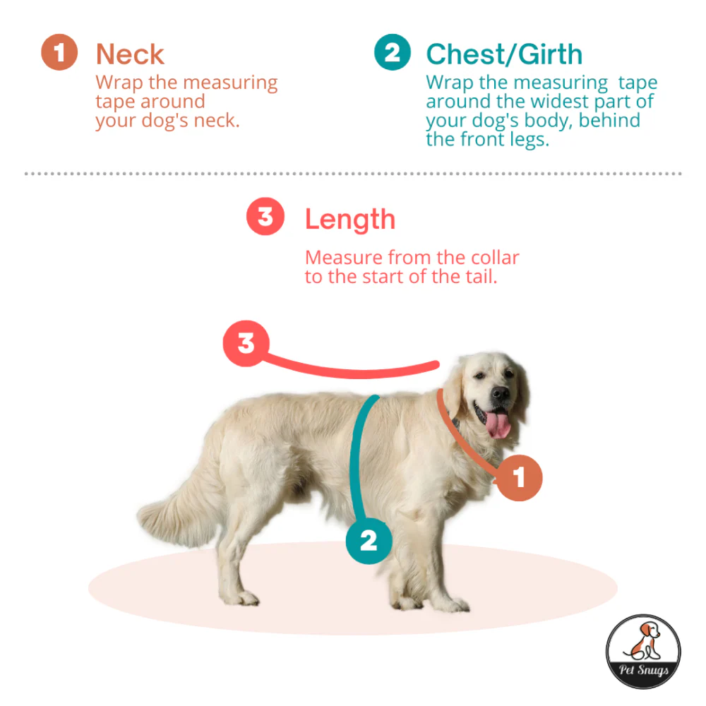 Petsnugs Quack Cozy Knit Sweater for Dogs and Cats (Grey & Blue) - Image 3