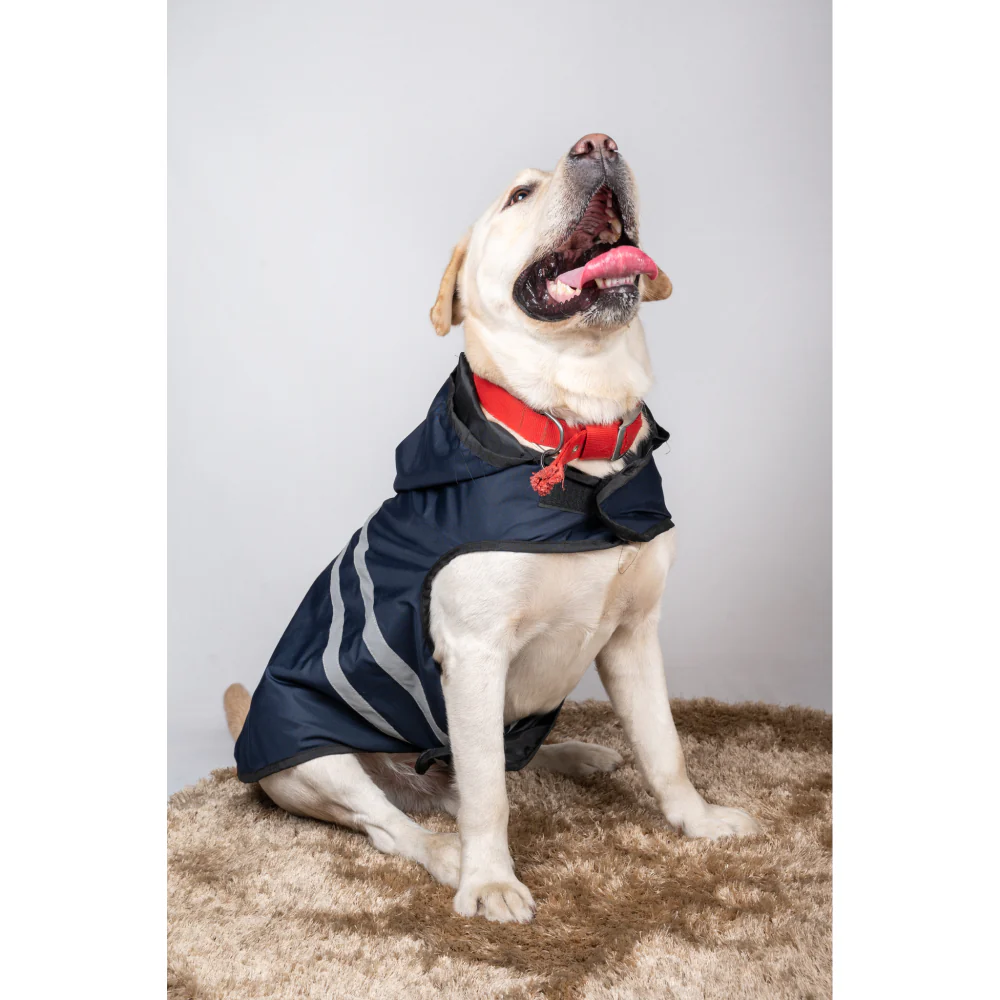 Petsnugs Reflective Waterproof Raincoat for Dogs and Cats (Blue) - Image 3