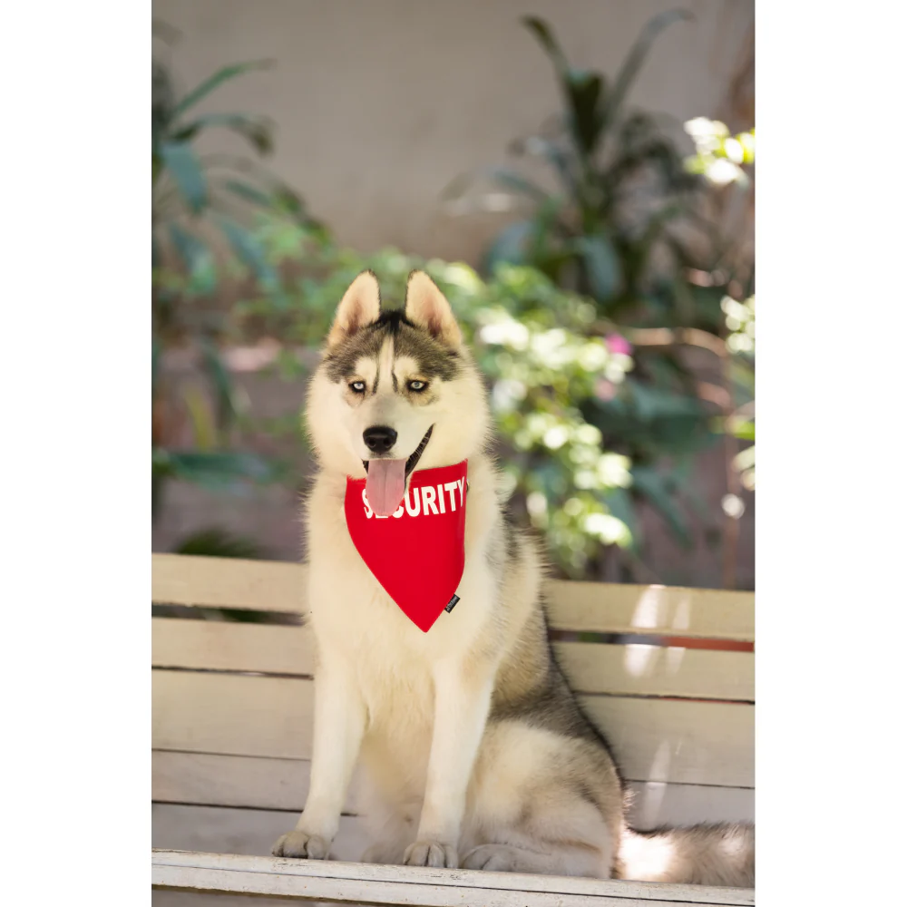 Petsnugs Security Bandana for Dogs and Cats (Bright Red) - Image 3