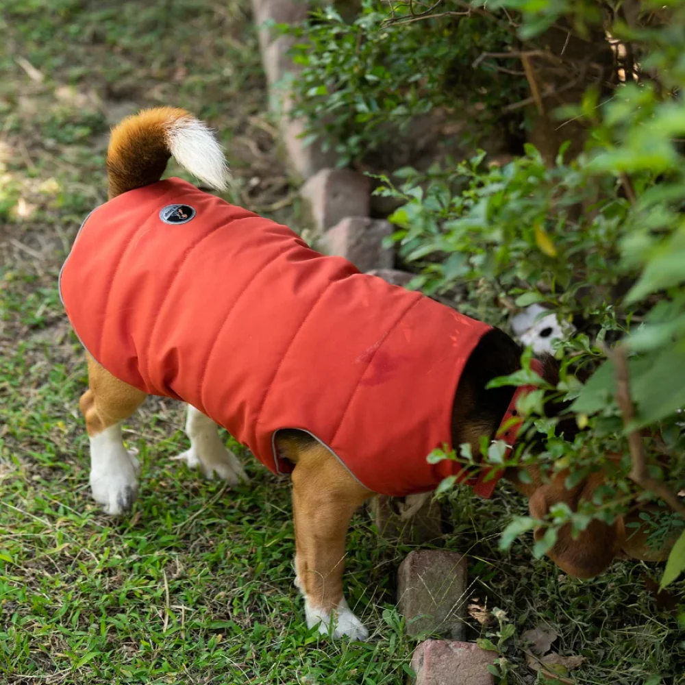 Petsnugs Water Resistant Jackets for Dogs and Cats (Rust) - Image 2
