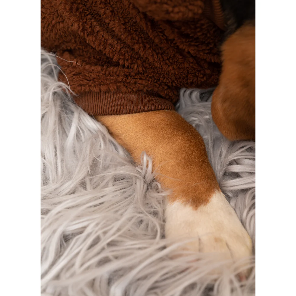 Petsnugs Woof Woof Sweatshirt for Dogs and Cats (Dark Brown) - Image 4