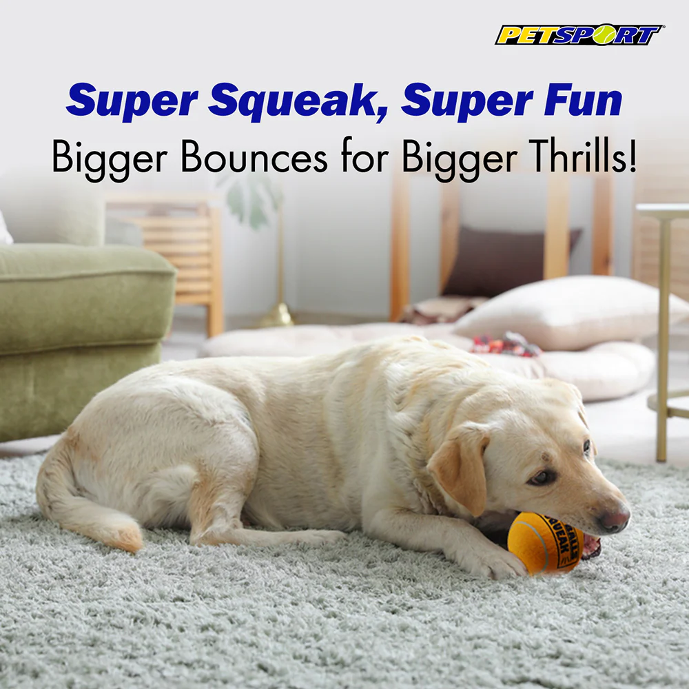 Petsport Giant Squeak Tuff Ball Toy for Dogs (Orange) - Image 3