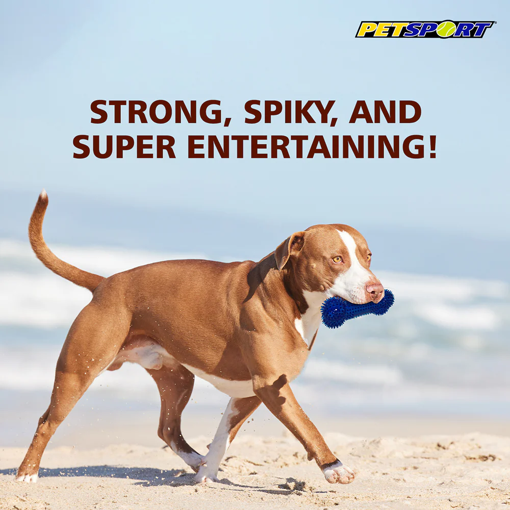 Petsport Gorilla Spiky Bone Toy for Dogs (Blue & Red) - Image 4