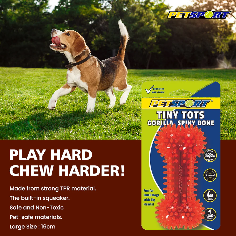Petsport Gorilla Spiky Bone Toy for Dogs (Blue & Red) - Image 5