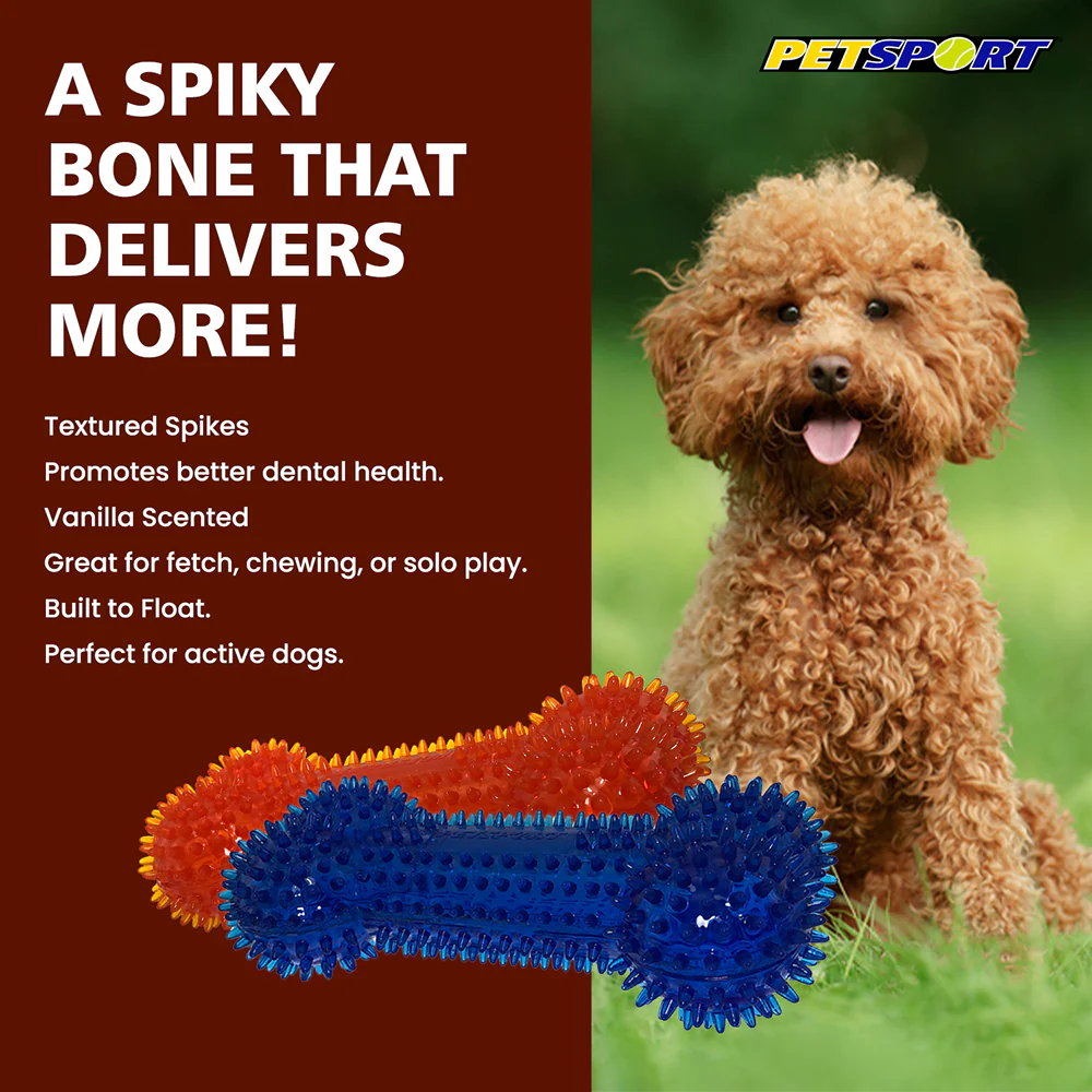 Petsport Gorilla Spiky Bone Toy for Dogs (Blue & Red) - Image 6