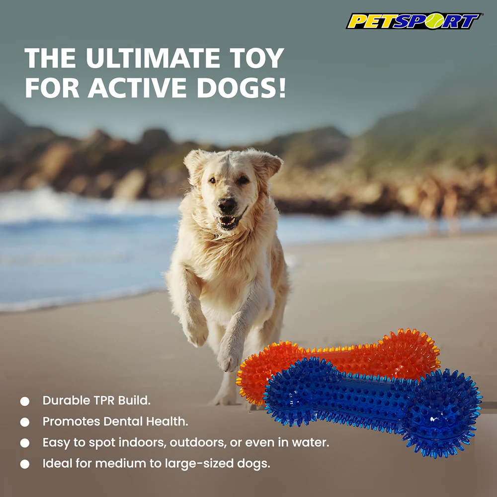 Petsport Gorilla Spiky Bone Toy for Dogs (Blue & Red) - Image 8